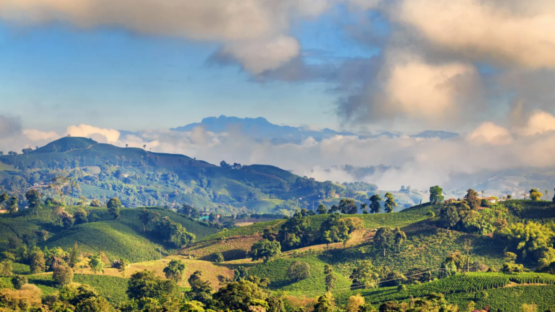 Paisaje eje cafetero